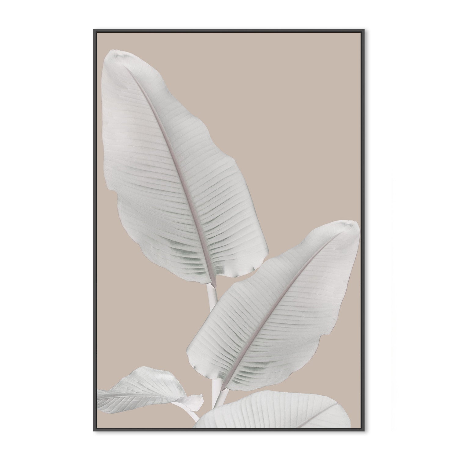 wall-art-print-canvas-poster-framed-Blush Paradise, Style A , By Danny Singh-3