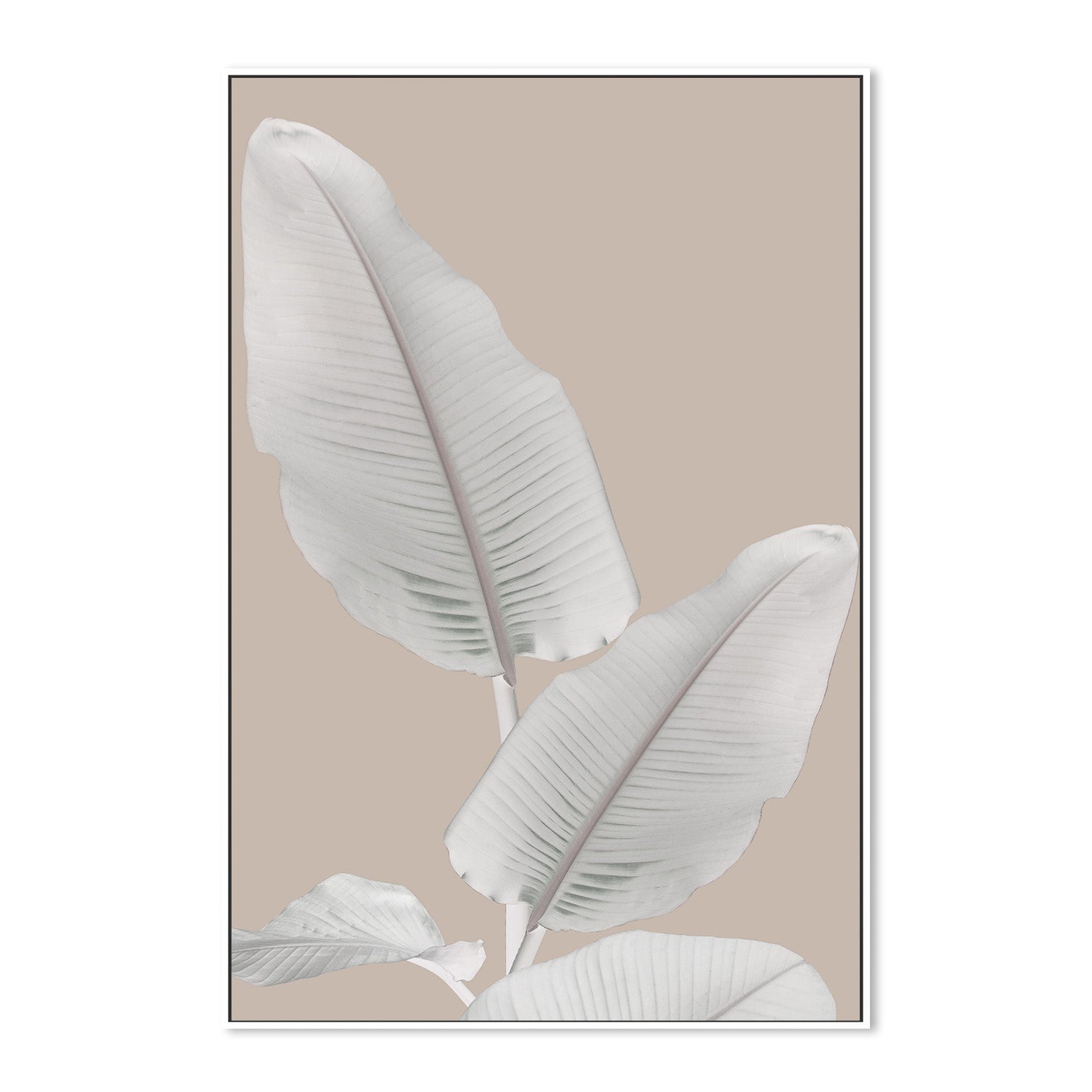 wall-art-print-canvas-poster-framed-Blush Paradise, Style A , By Danny Singh-5