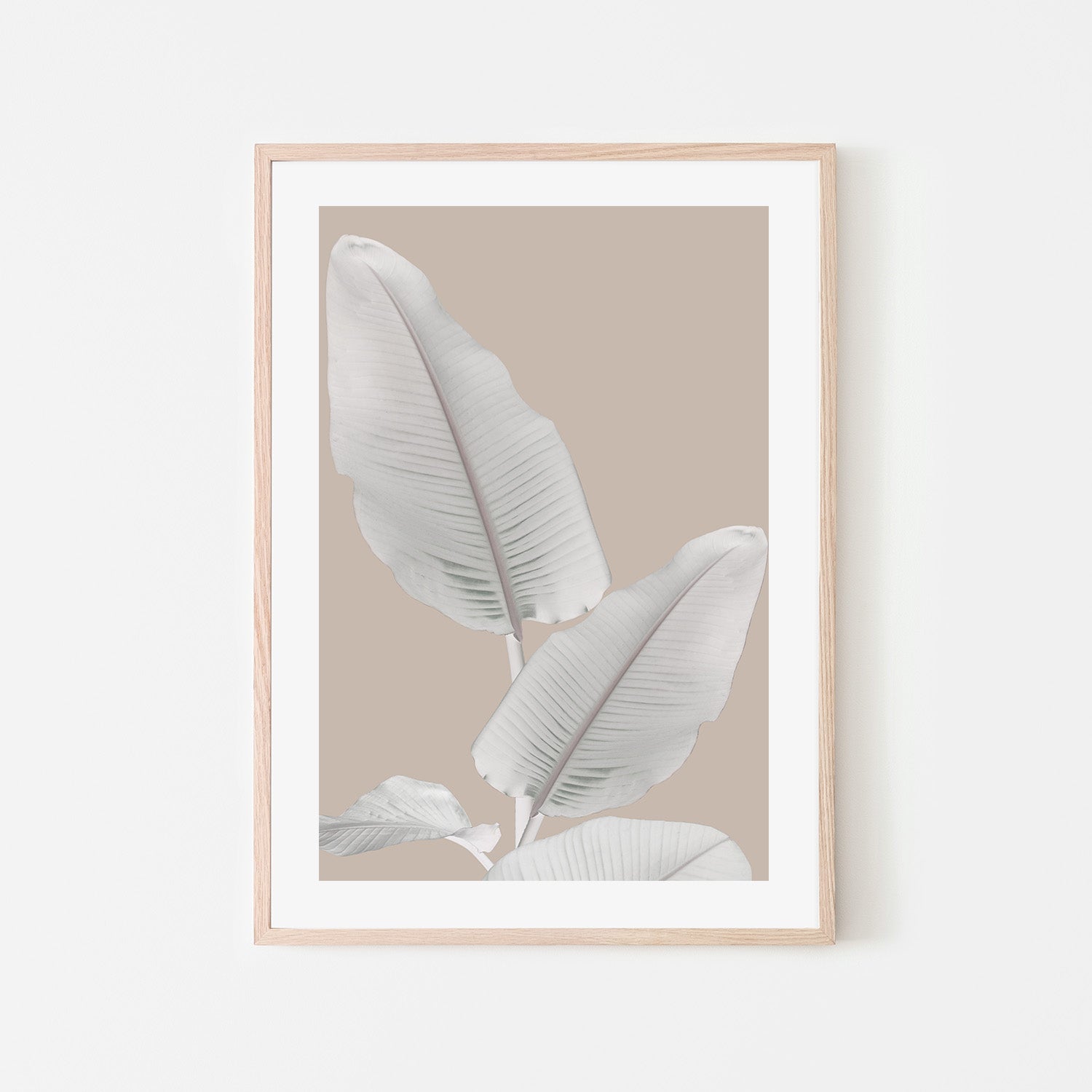 wall-art-print-canvas-poster-framed-Blush Paradise, Style A , By Danny Singh-6