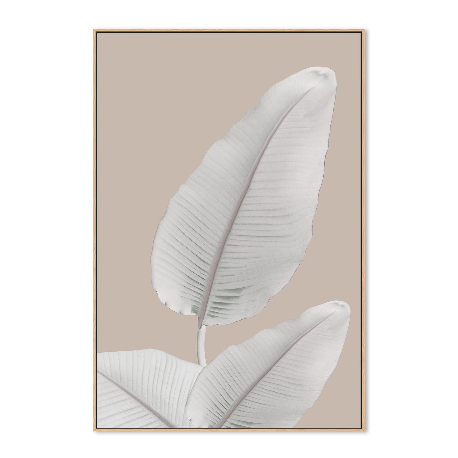 wall-art-print-canvas-poster-framed-Blush Paradise, Style B , By Danny Singh-4