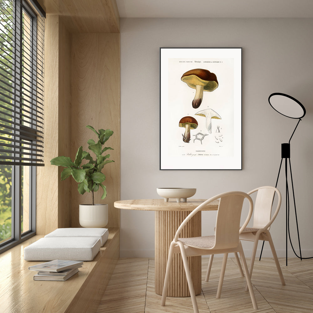 wall-art-print-canvas-poster-framed-Bolete Mushrooms-GIOIA-WALL-ART