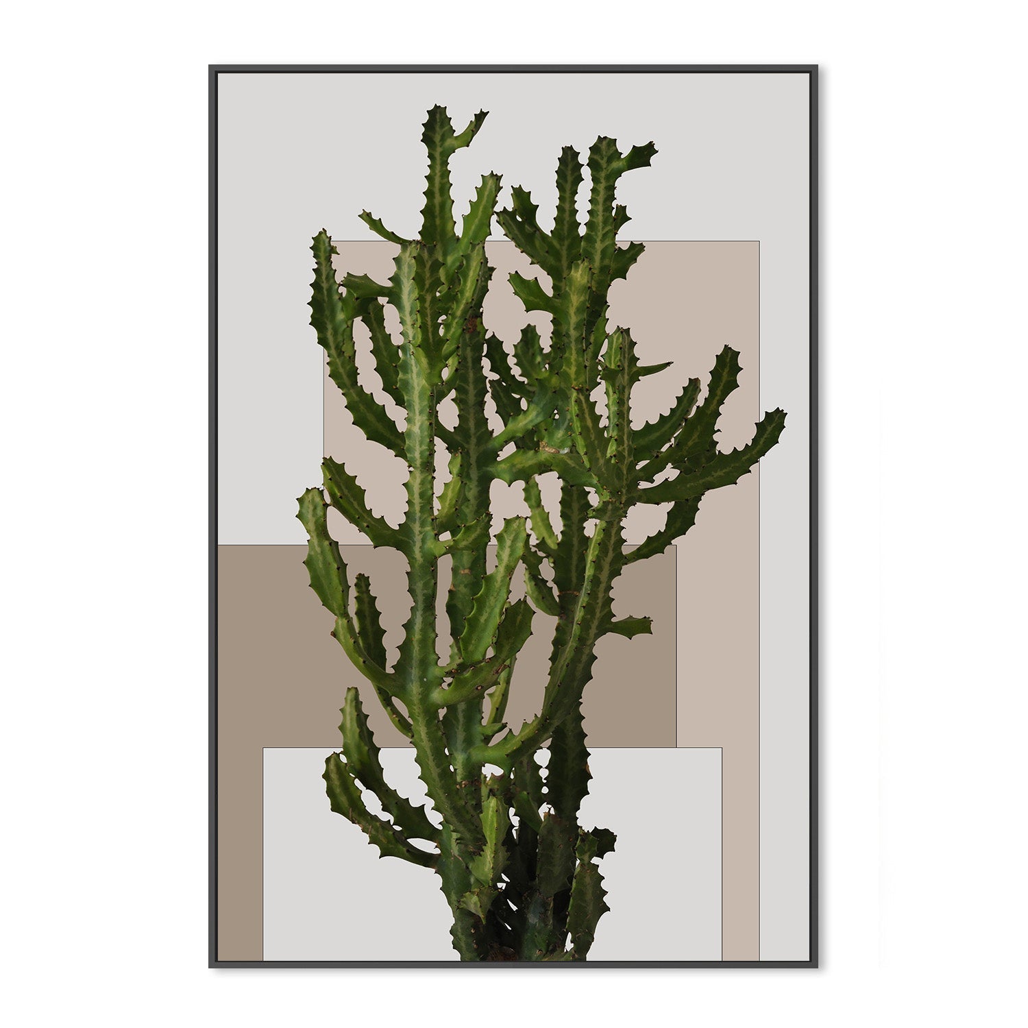 wall-art-print-canvas-poster-framed-Botanical Block , By Danny Singh-3