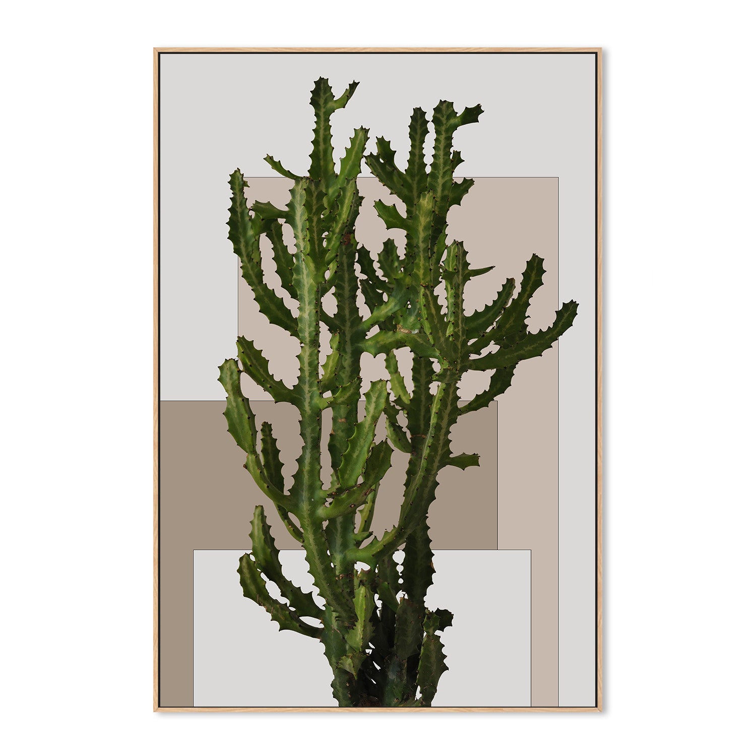 wall-art-print-canvas-poster-framed-Botanical Block , By Danny Singh-4