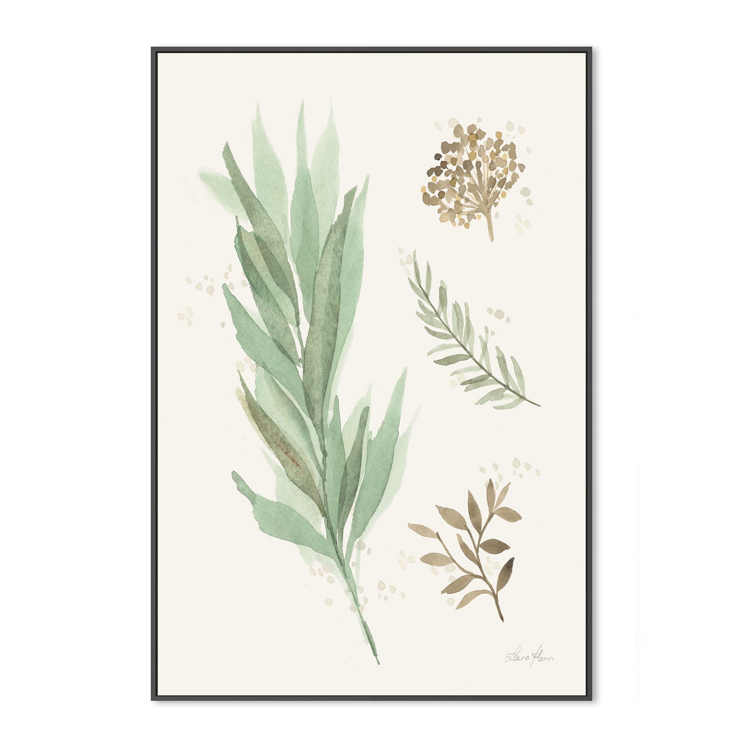 wall-art-print-canvas-poster-framed-Botanical Collage, Style A , By Laura Horn-GIOIA-WALL-ART
