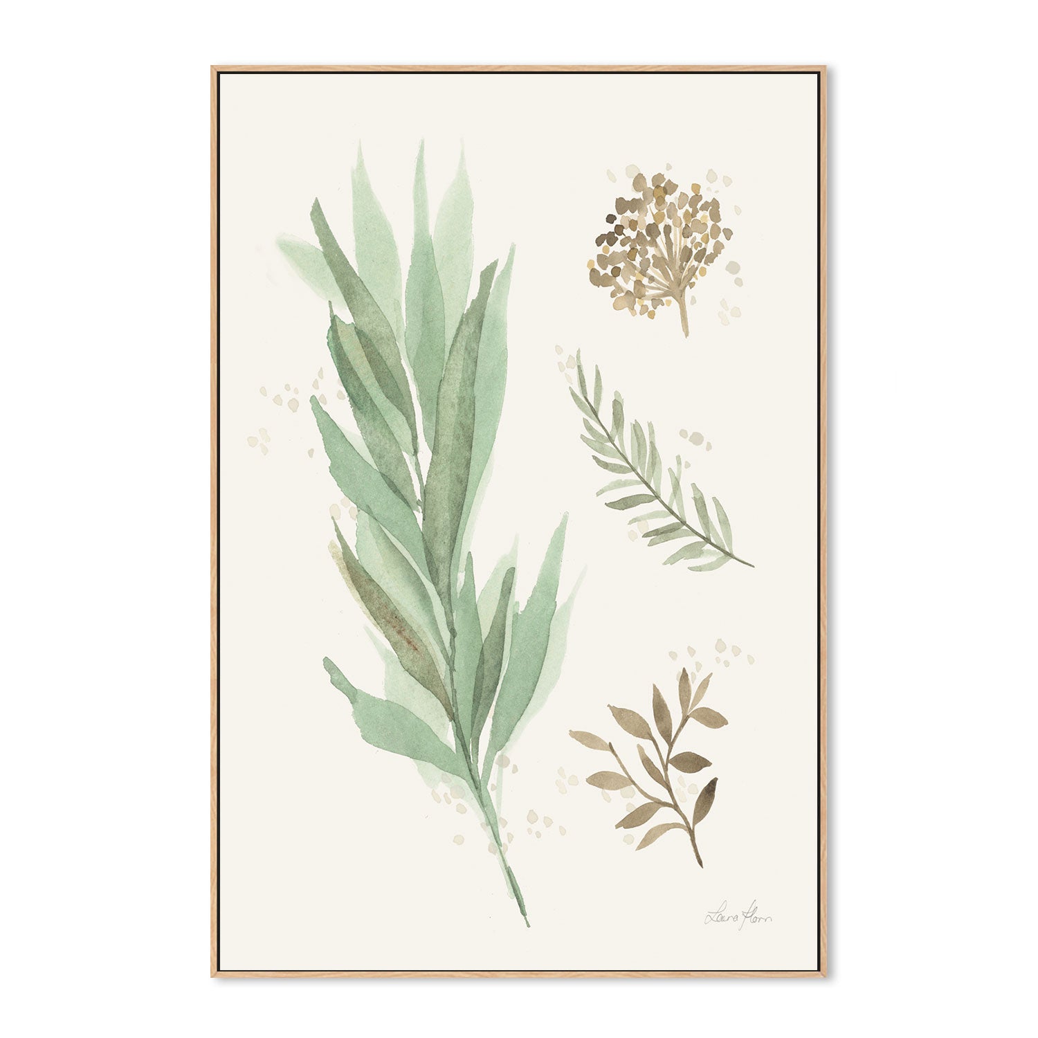 wall-art-print-canvas-poster-framed-Botanical Collage, Style A , By Laura Horn-GIOIA-WALL-ART