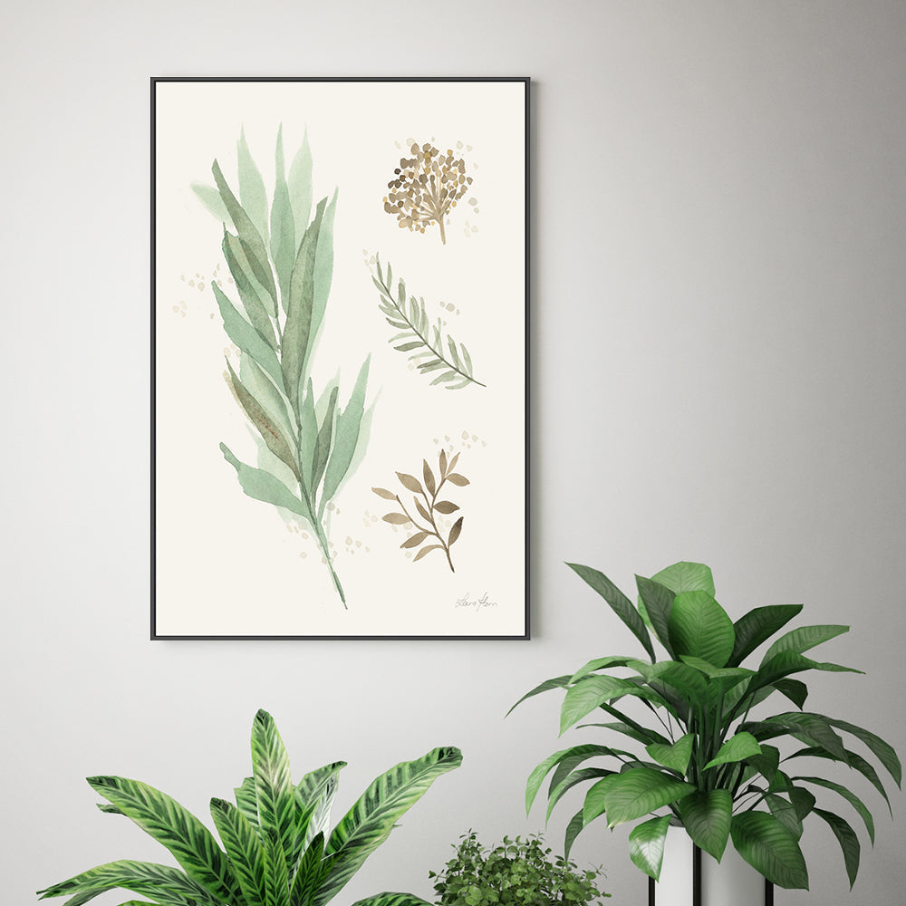 wall-art-print-canvas-poster-framed-Botanical Collage, Style A , By Laura Horn-GIOIA-WALL-ART