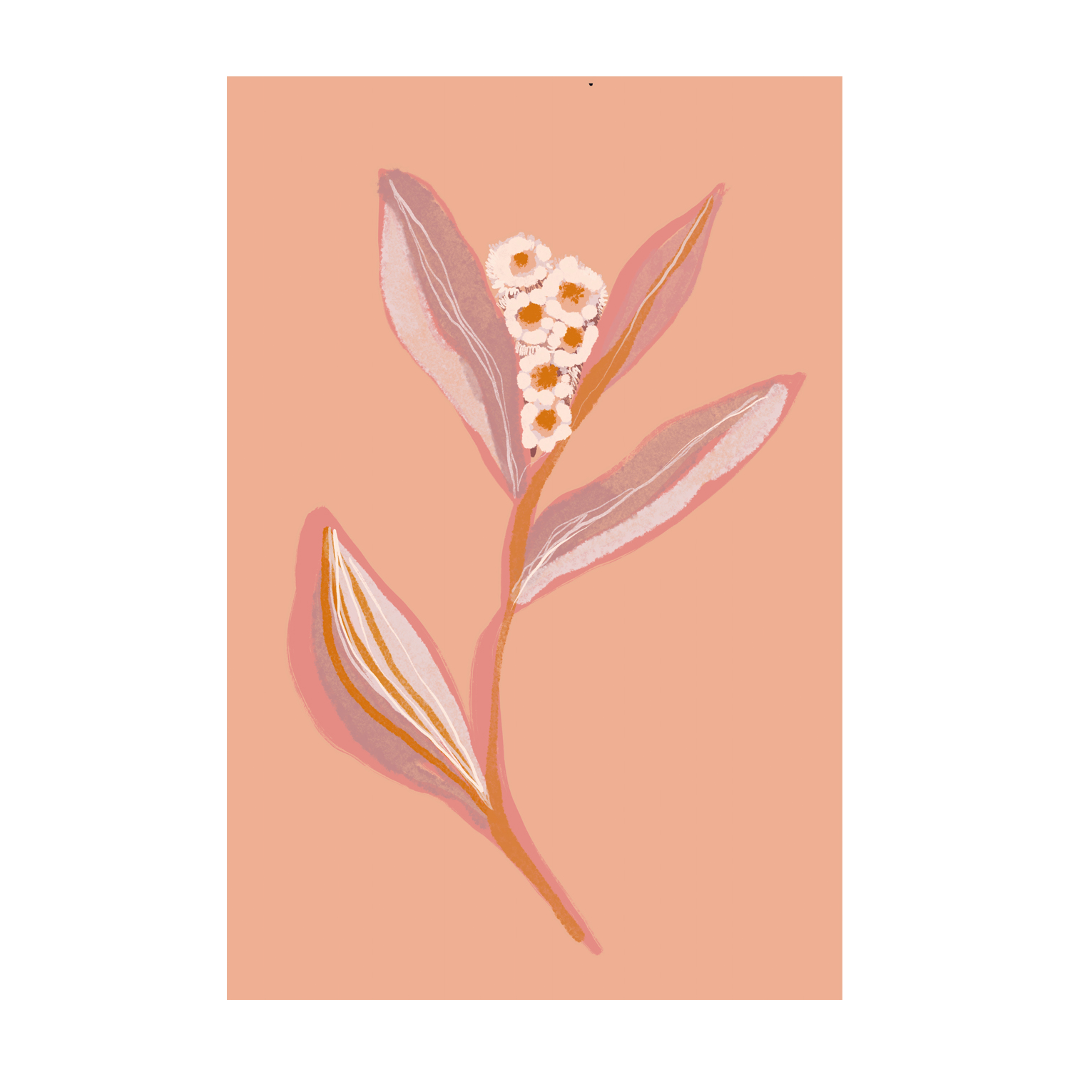 wall-art-print-canvas-poster-framed-Botanical Floral Peach, Style A , By Hope Bainbridge-1