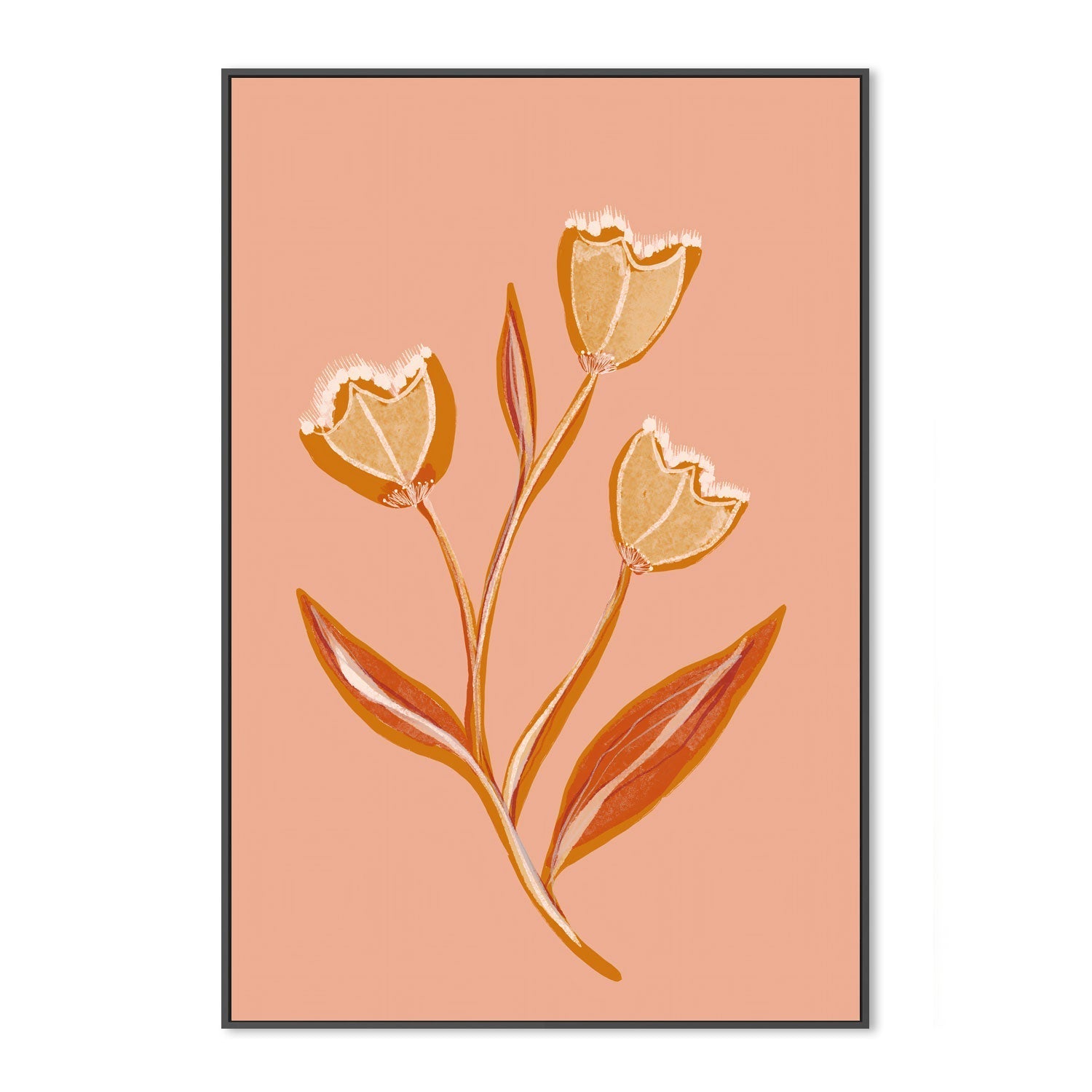 wall-art-print-canvas-poster-framed-Botanical Floral Peach, Style B , By Hope Bainbridge-3