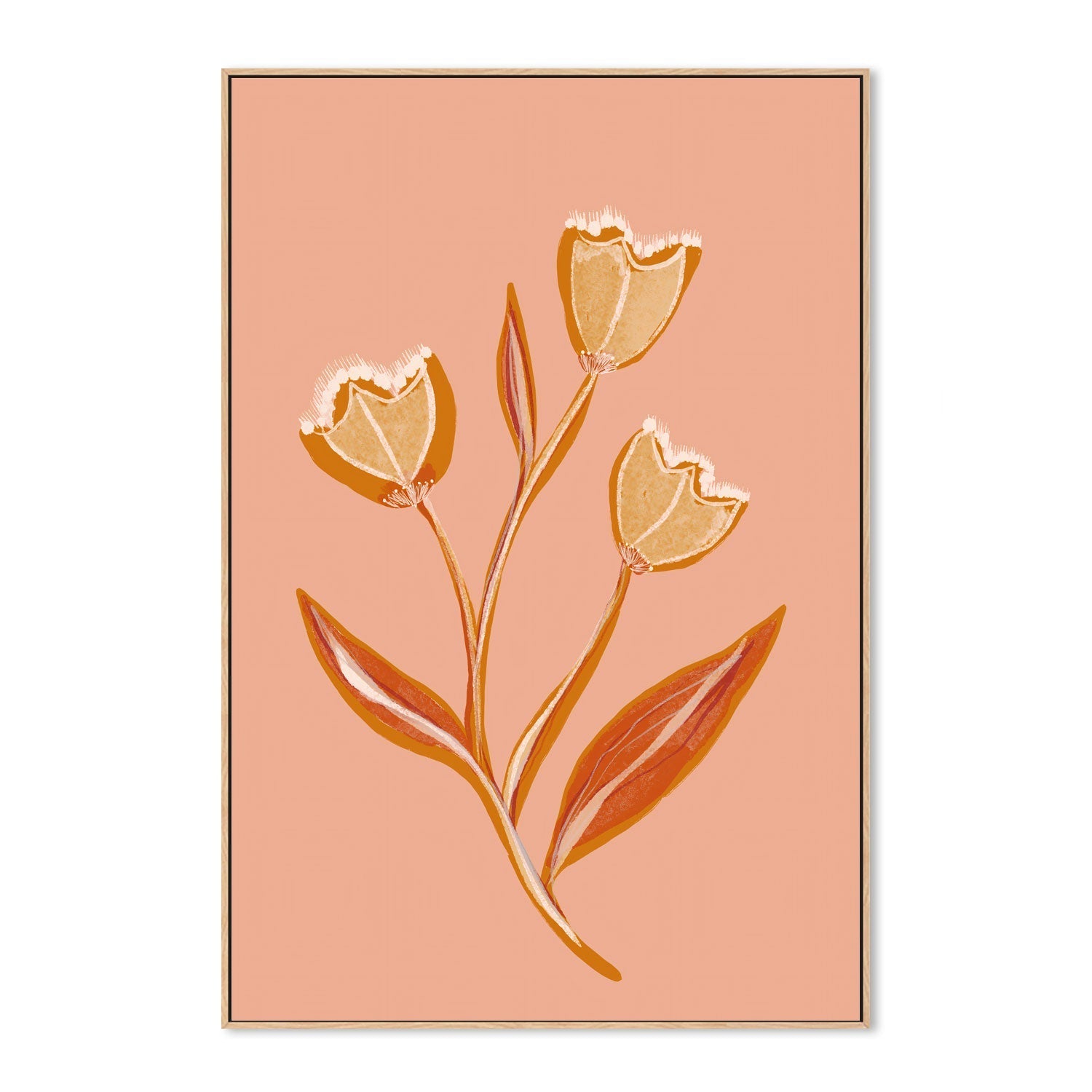 wall-art-print-canvas-poster-framed-Botanical Floral Peach, Style B , By Hope Bainbridge-4