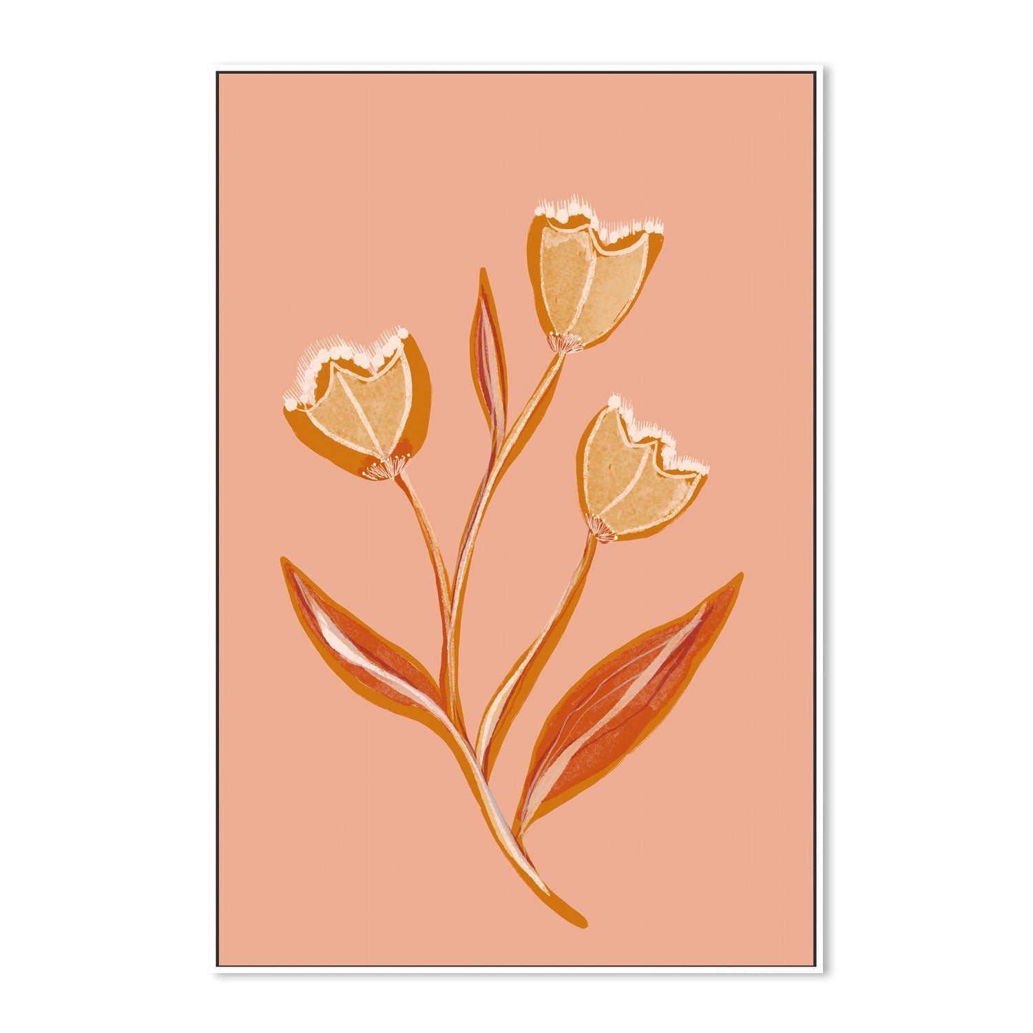 wall-art-print-canvas-poster-framed-Botanical Floral Peach, Style B , By Hope Bainbridge-5