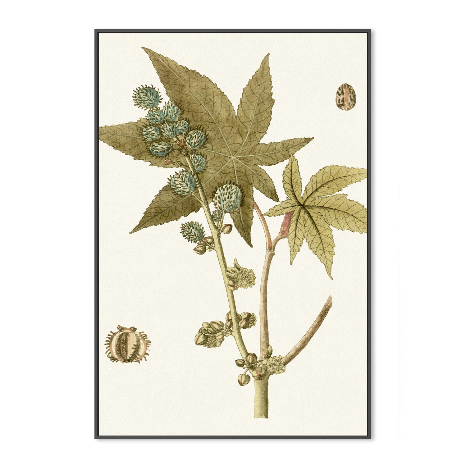 wall-art-print-canvas-poster-framed-Botanical Leaf, Style A-3