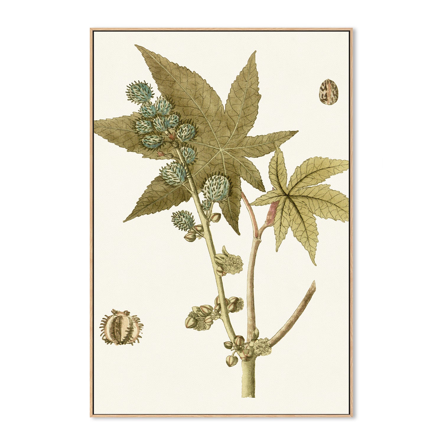 wall-art-print-canvas-poster-framed-Botanical Leaf, Style A-4