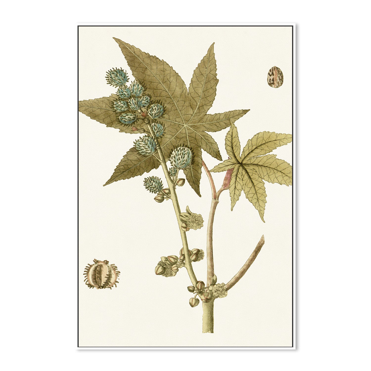 wall-art-print-canvas-poster-framed-Botanical Leaf, Style A-5