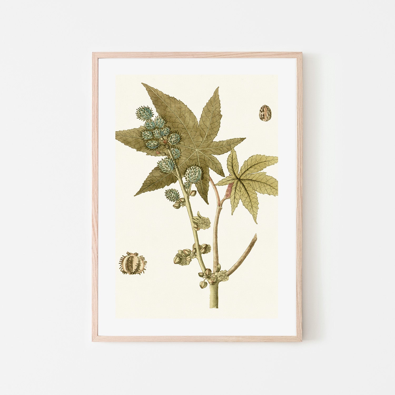 wall-art-print-canvas-poster-framed-Botanical Leaf, Style A-6