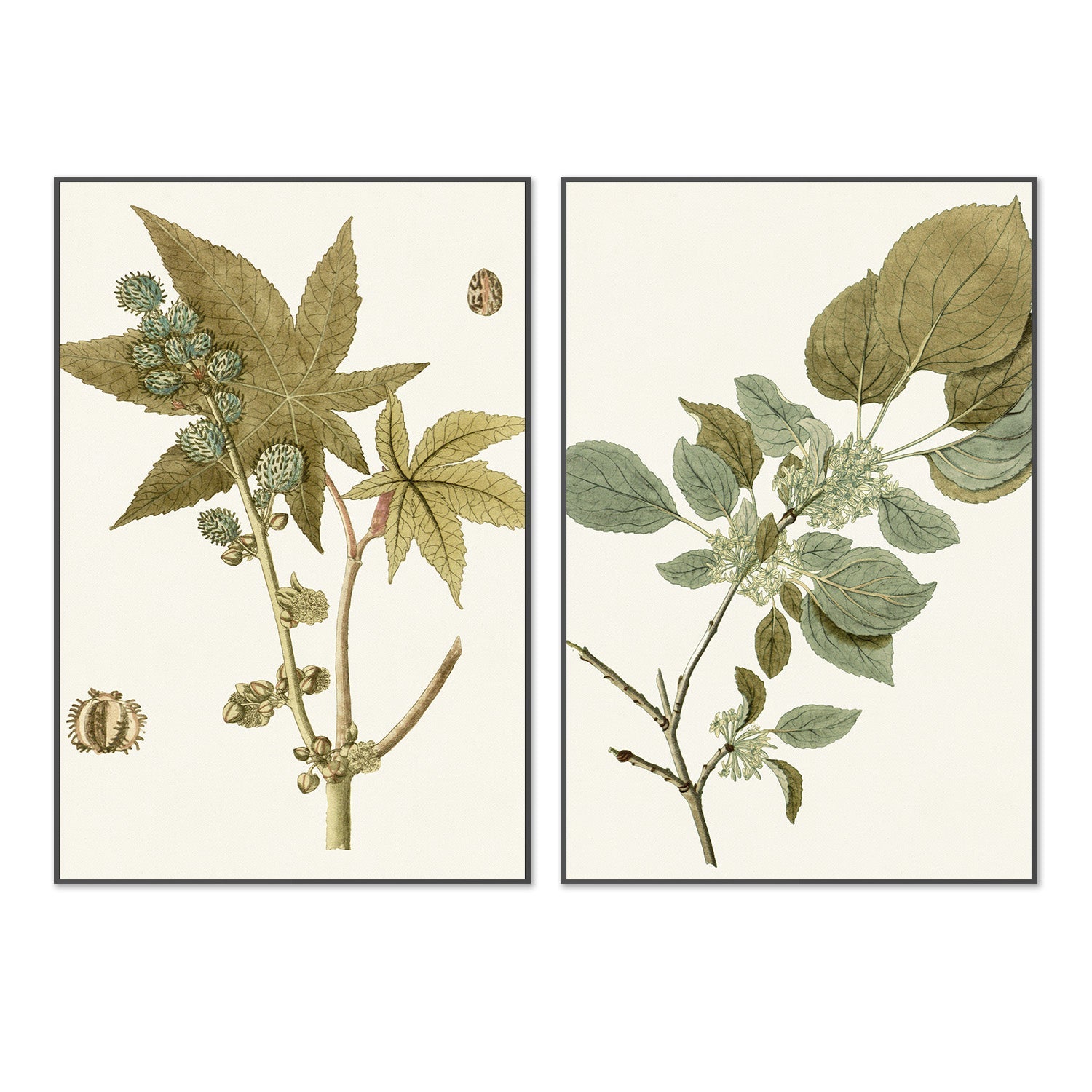 wall-art-print-canvas-poster-framed-Botanical Leaf, Style A & B, Set Of 2-3