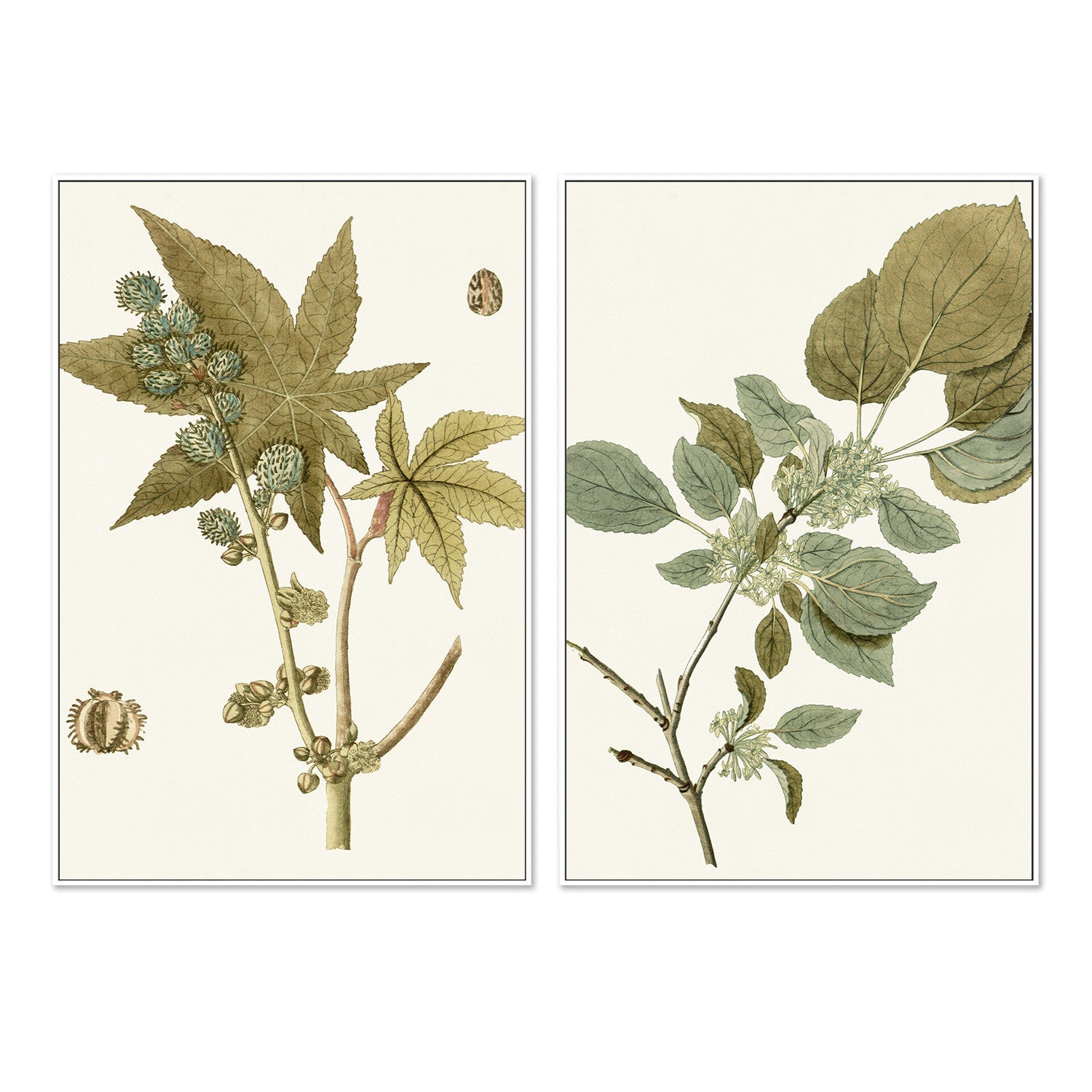 wall-art-print-canvas-poster-framed-Botanical Leaf, Style A & B, Set Of 2-5