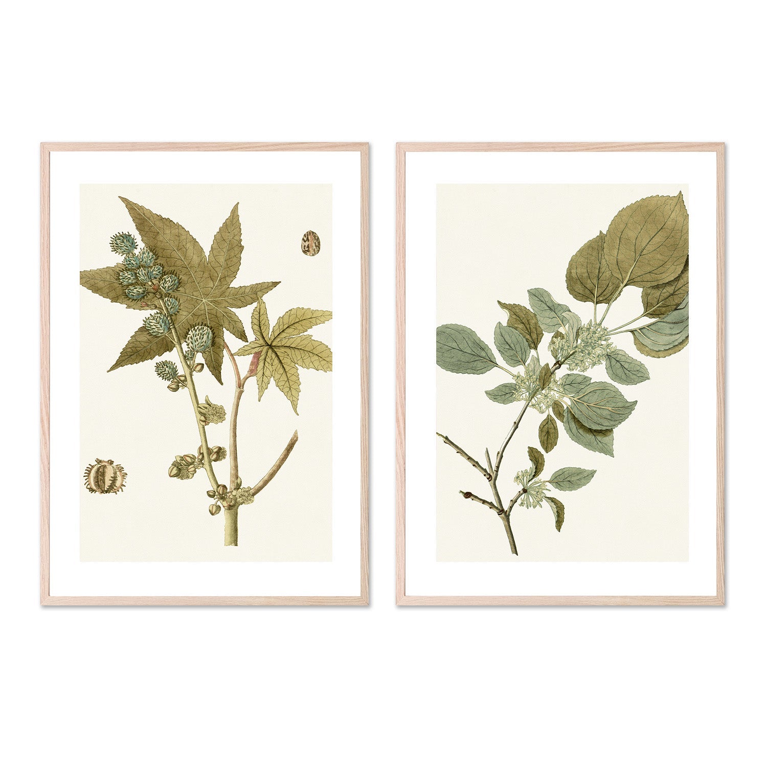 wall-art-print-canvas-poster-framed-Botanical Leaf, Style A & B, Set Of 2-6