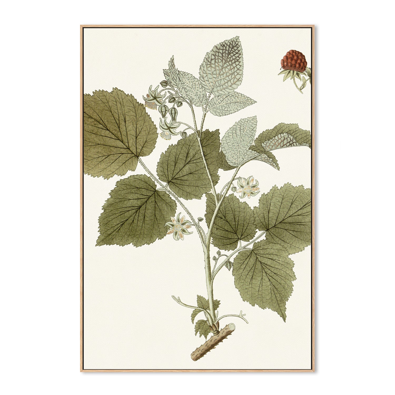 wall-art-print-canvas-poster-framed-Botanical Leaf, Style C-4