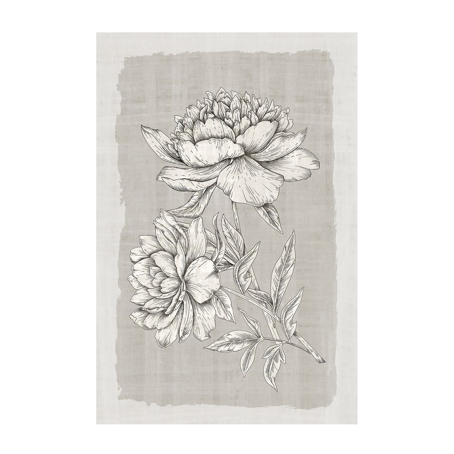 wall-art-print-canvas-poster-framed-Botanical Linen, Style A , By Eva Watts-1