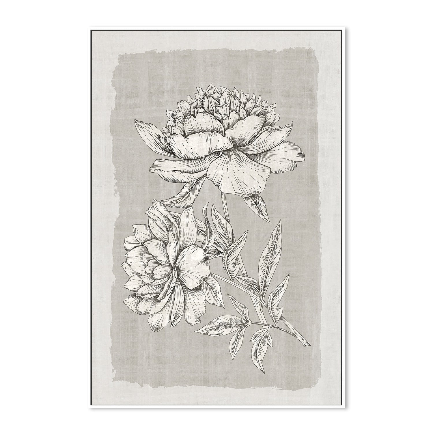 wall-art-print-canvas-poster-framed-Botanical Linen, Style A , By Eva Watts-5