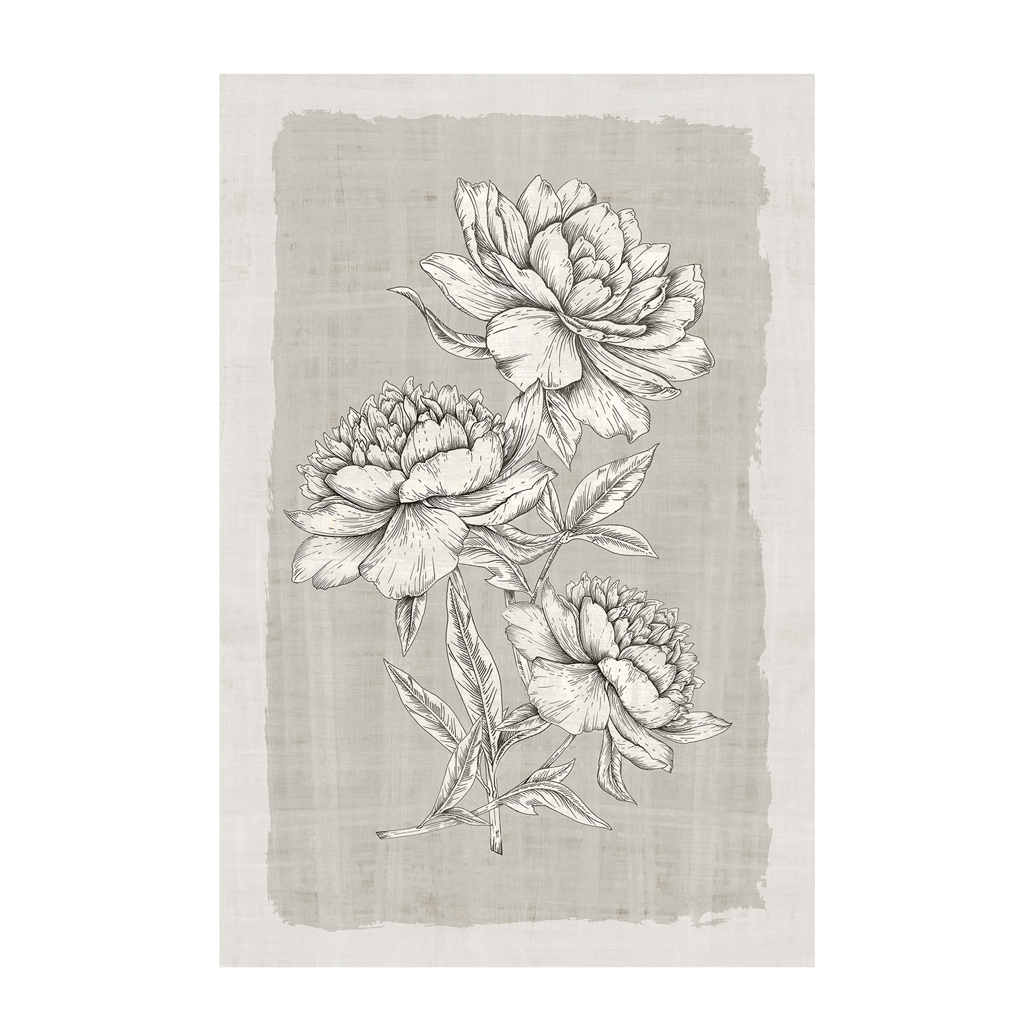 wall-art-print-canvas-poster-framed-Botanical Linen, Style B , By Eva Watts-1