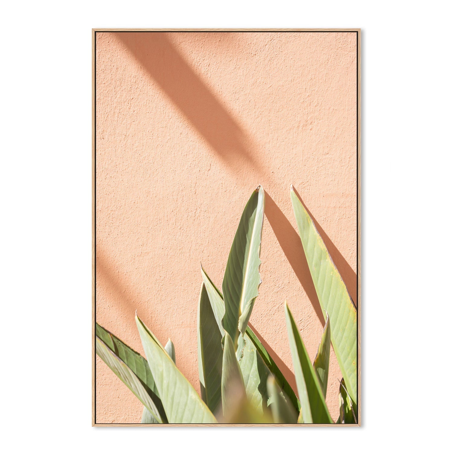 wall-art-print-canvas-poster-framed-Botanical Pastels-4