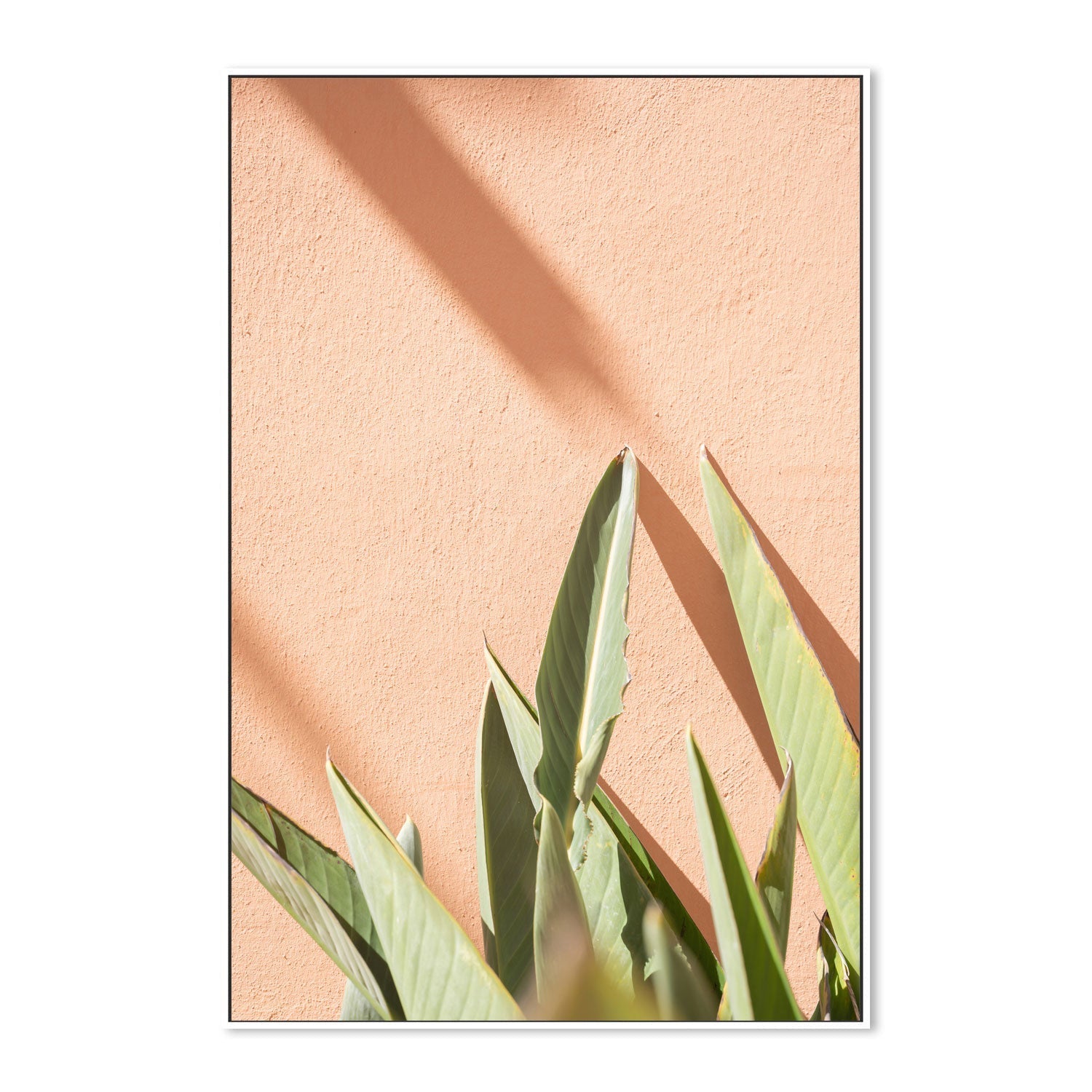 wall-art-print-canvas-poster-framed-Botanical Pastels-5
