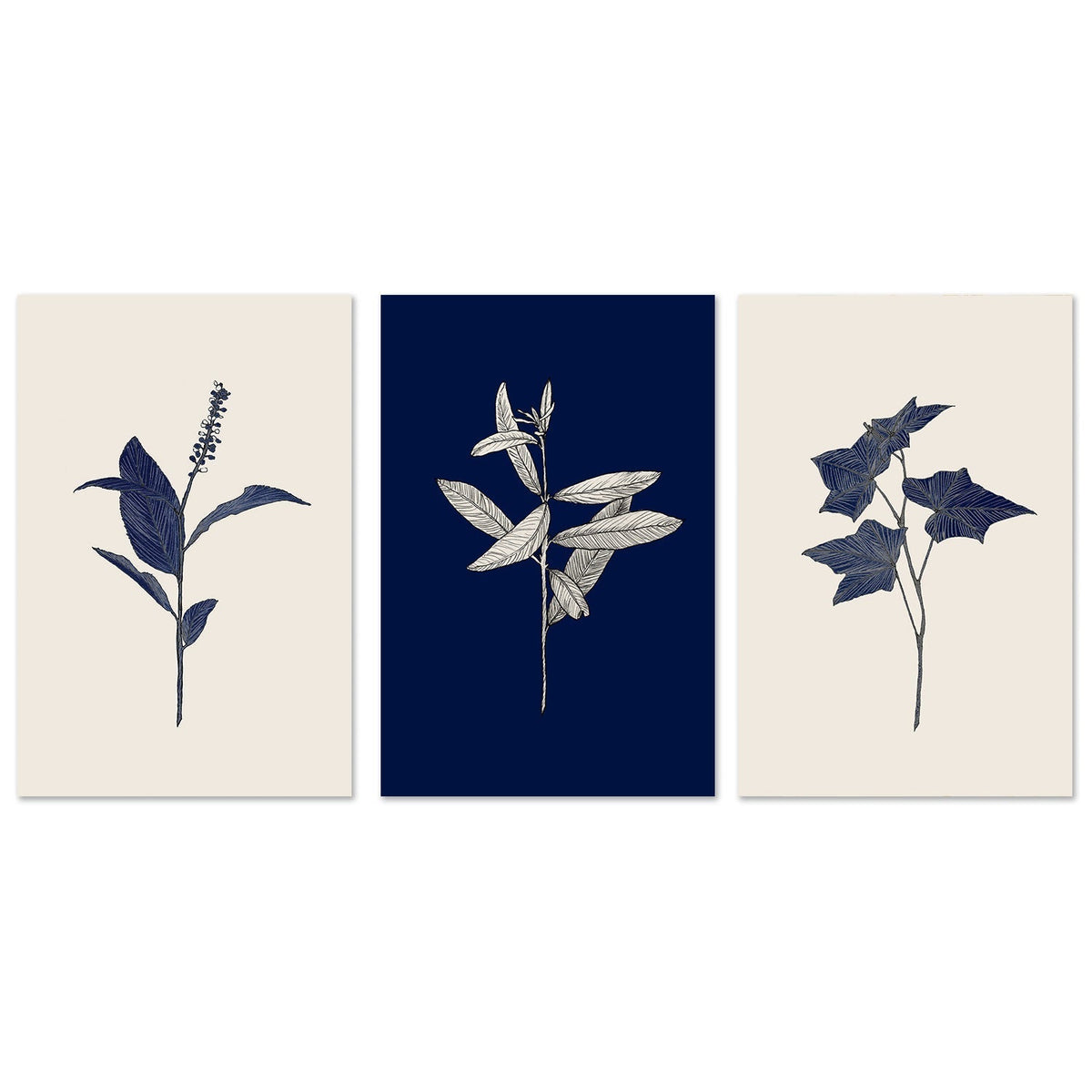 wall-art-print-canvas-poster-framed-Botanical, Set of 3-by-Danushka Abeygoda-Gioia Wall Art