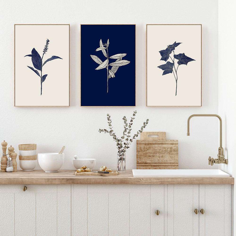 wall-art-print-canvas-poster-framed-Botanical, Set of 3-by-Danushka Abeygoda-Gioia Wall Art