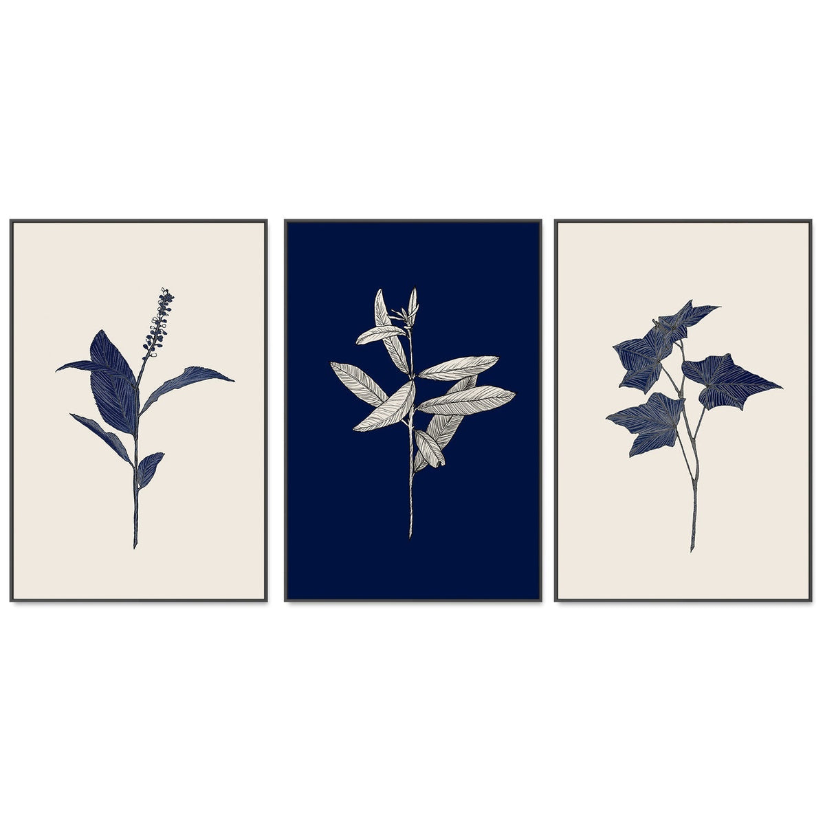 wall-art-print-canvas-poster-framed-Botanical, Set of 3-by-Danushka Abeygoda-Gioia Wall Art