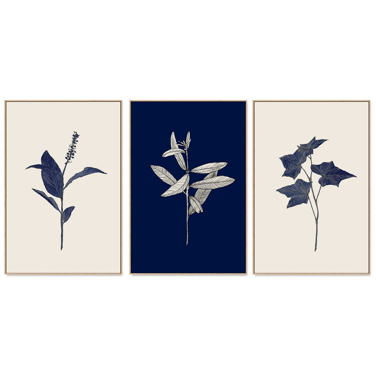 wall-art-print-canvas-poster-framed-Botanical, Set of 3-by-Danushka Abeygoda-Gioia Wall Art