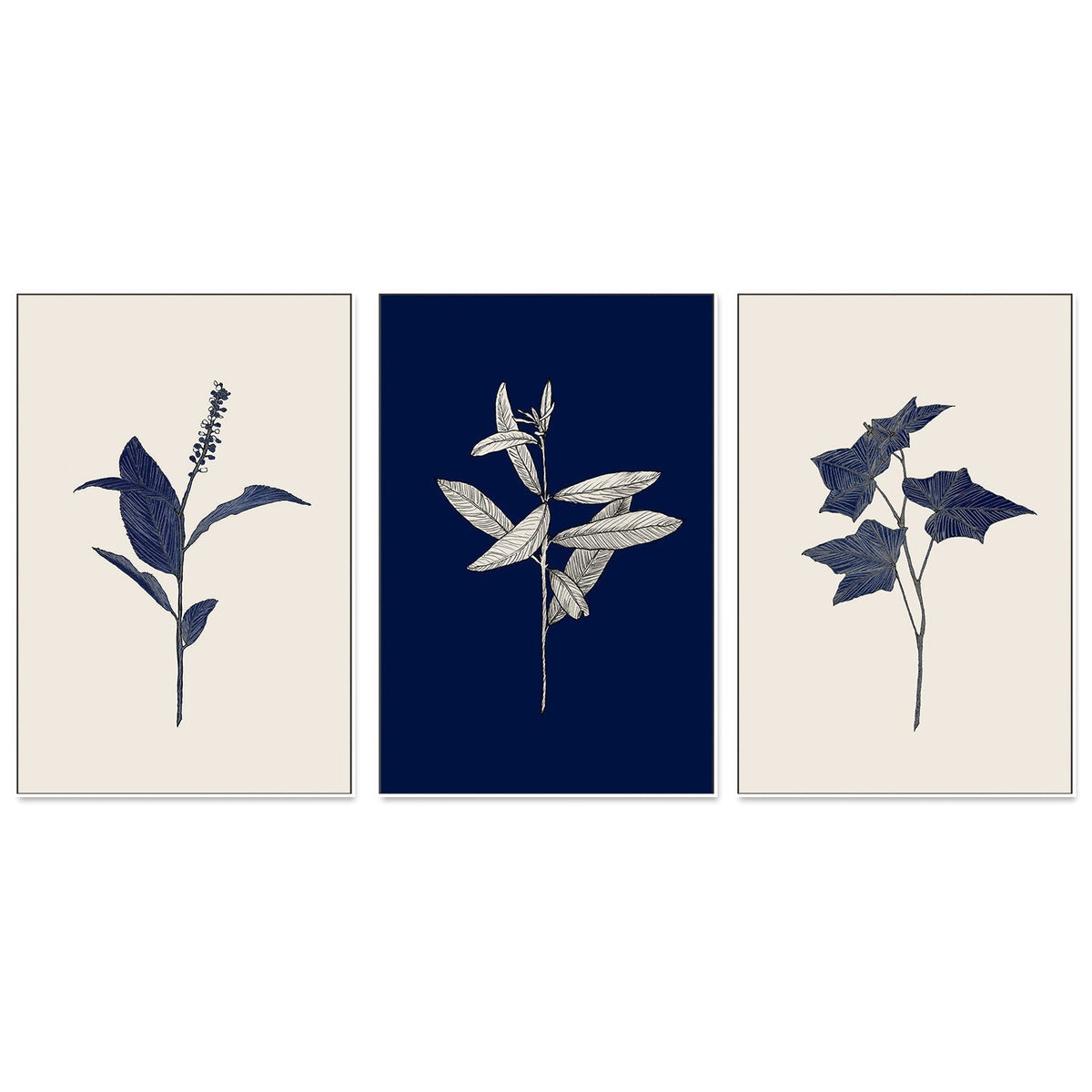 wall-art-print-canvas-poster-framed-Botanical, Set of 3-by-Danushka Abeygoda-Gioia Wall Art