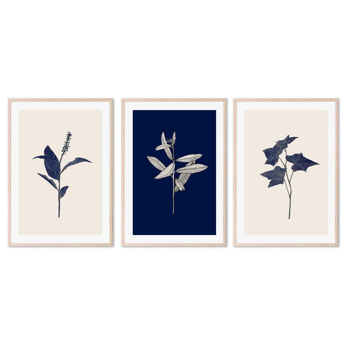 wall-art-print-canvas-poster-framed-Botanical, Set of 3-by-Danushka Abeygoda-Gioia Wall Art