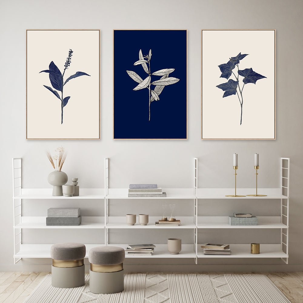wall-art-print-canvas-poster-framed-Botanical, Set of 3-by-Danushka Abeygoda-Gioia Wall Art