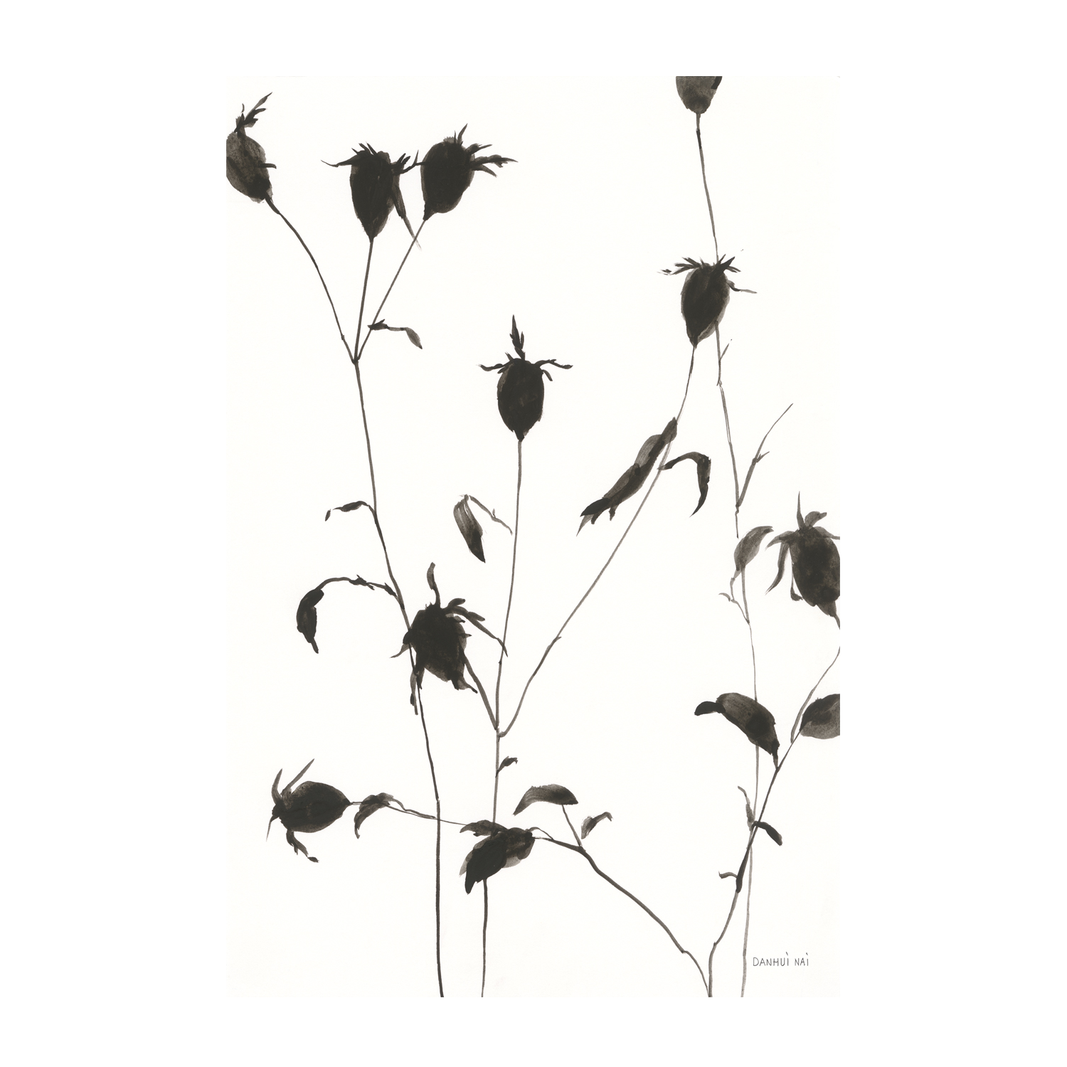 wall-art-print-canvas-poster-framed-Botanical Shadows , By Danhui Nai-GIOIA-WALL-ART