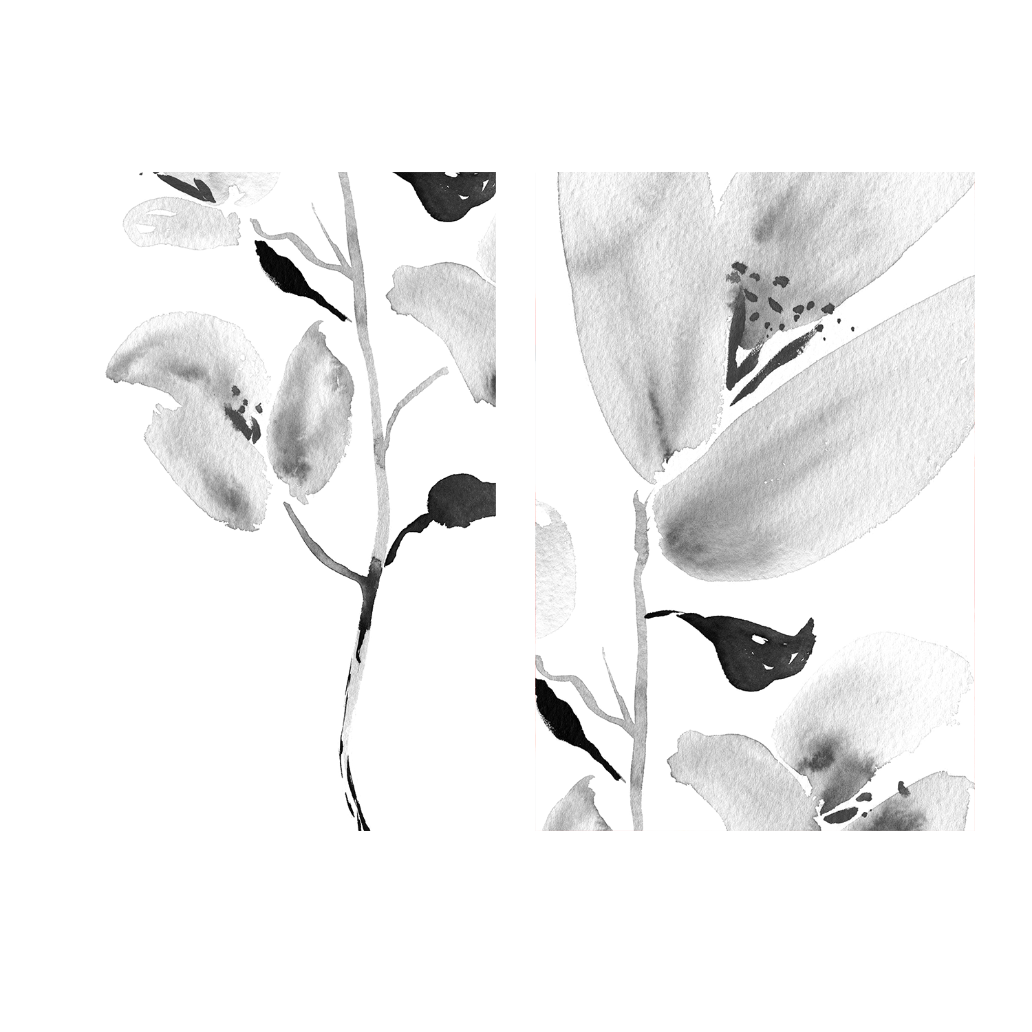 wall-art-print-canvas-poster-framed-Botanical, Style A & B, Set Of 2 , By Danushka Abeygoda-1