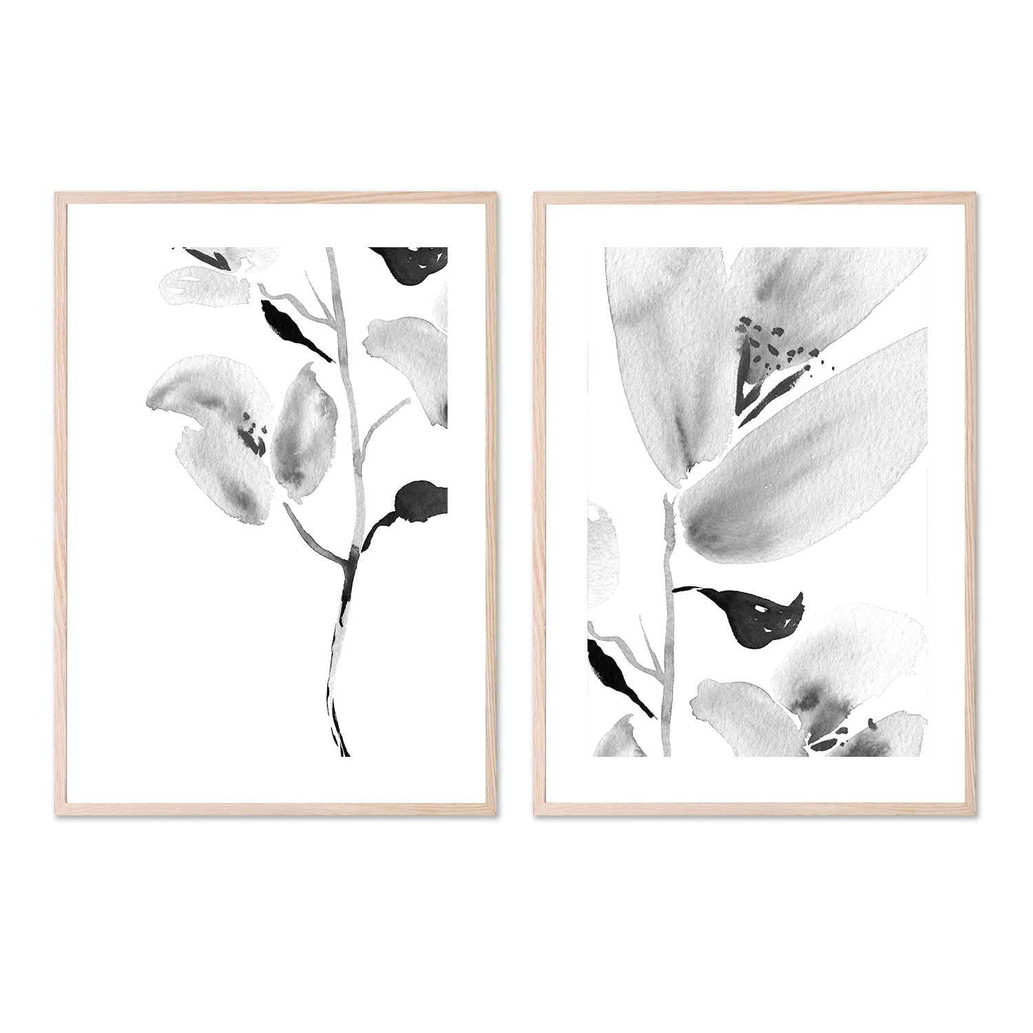 wall-art-print-canvas-poster-framed-Botanical, Style A & B, Set Of 2 , By Danushka Abeygoda-6