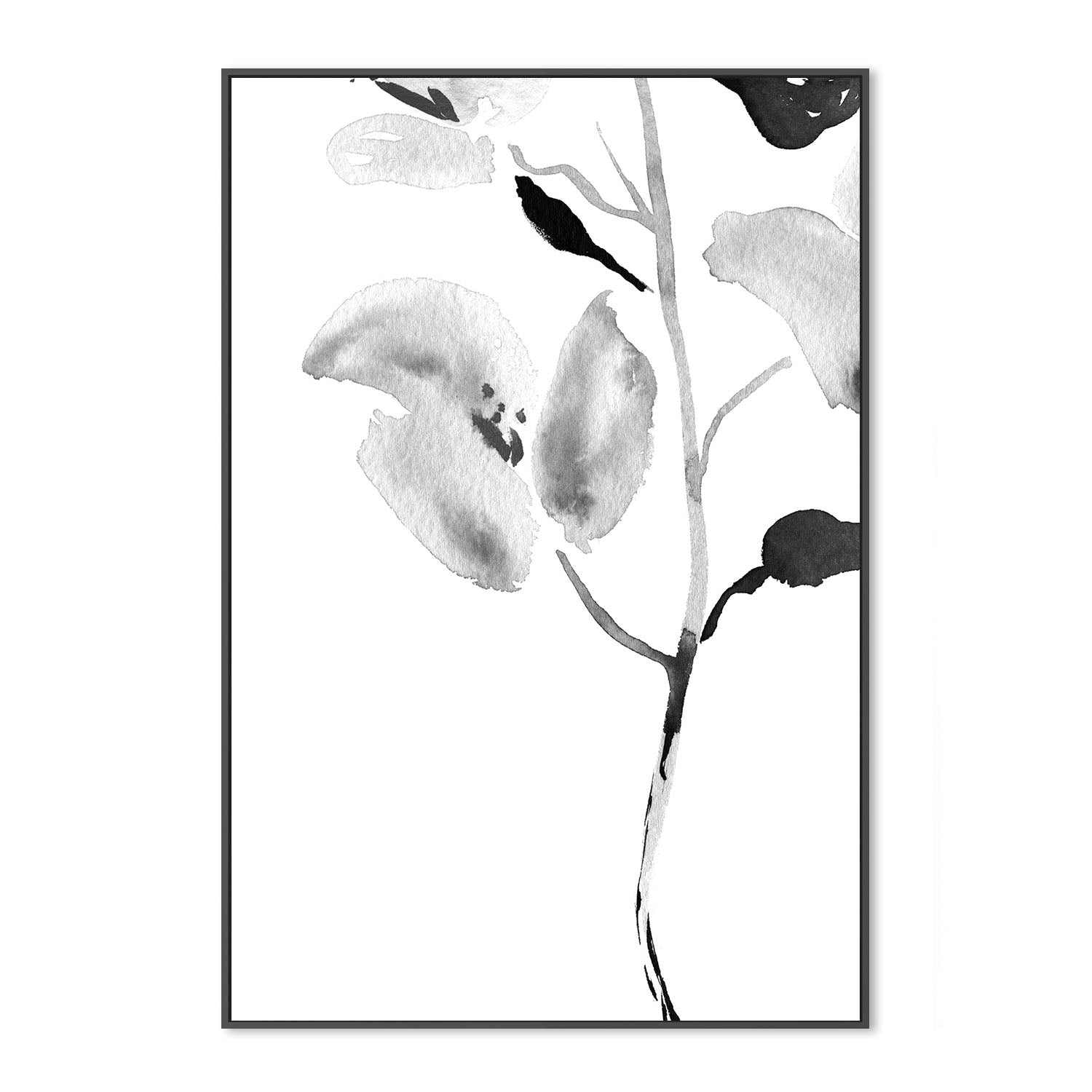 wall-art-print-canvas-poster-framed-Botanical, Style A , By Danushka Abeygoda-3