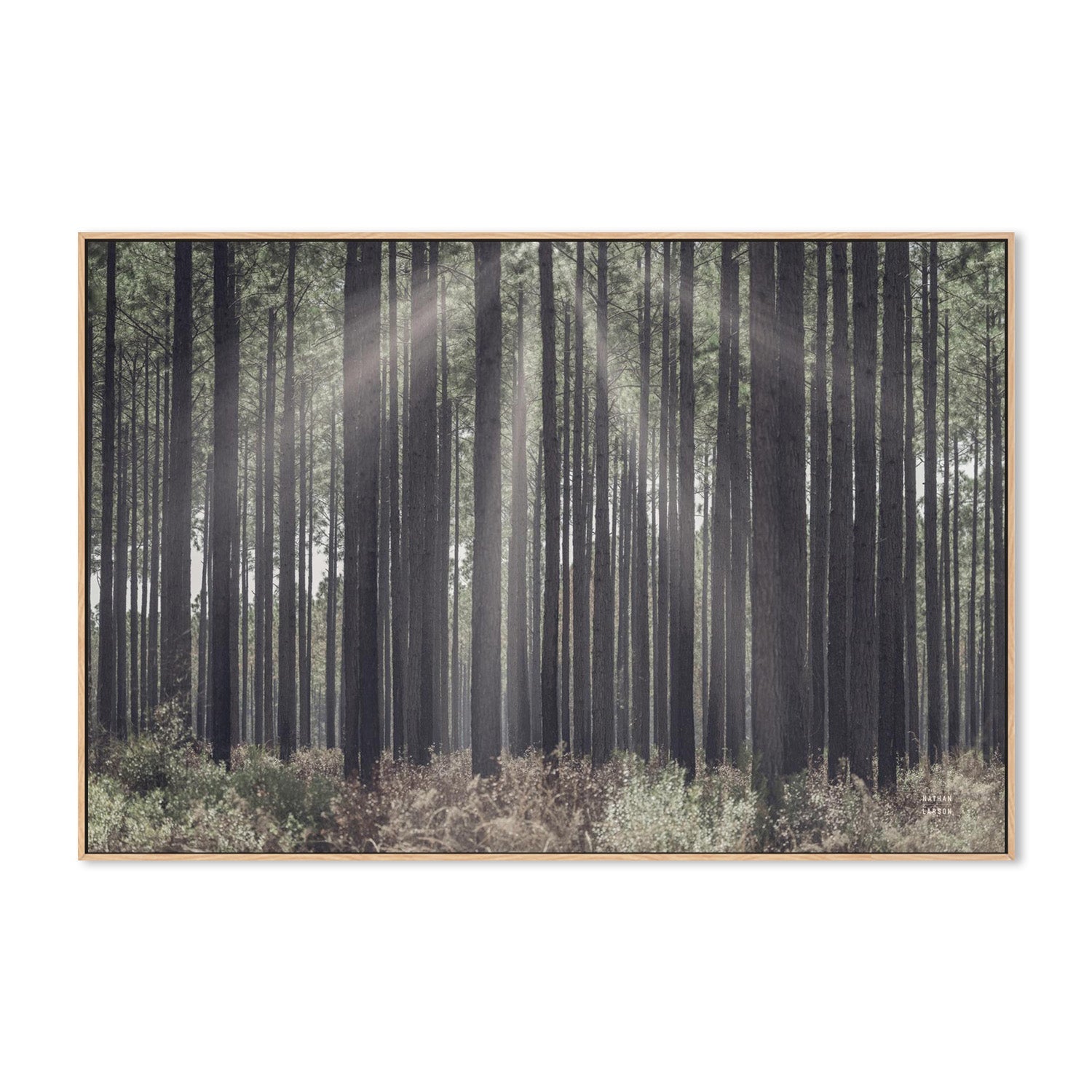 wall-art-print-canvas-poster-framed-Bring Me In-4