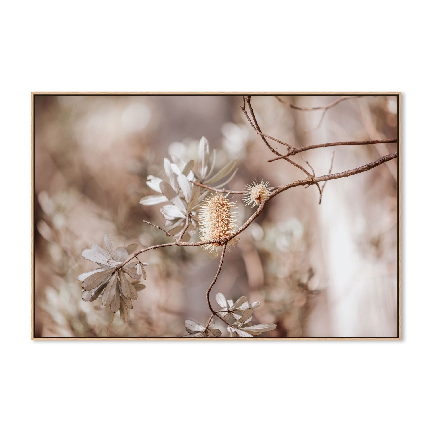 wall-art-print-canvas-poster-framed-Brown Bohemian Native Plants-GIOIA-WALL-ART
