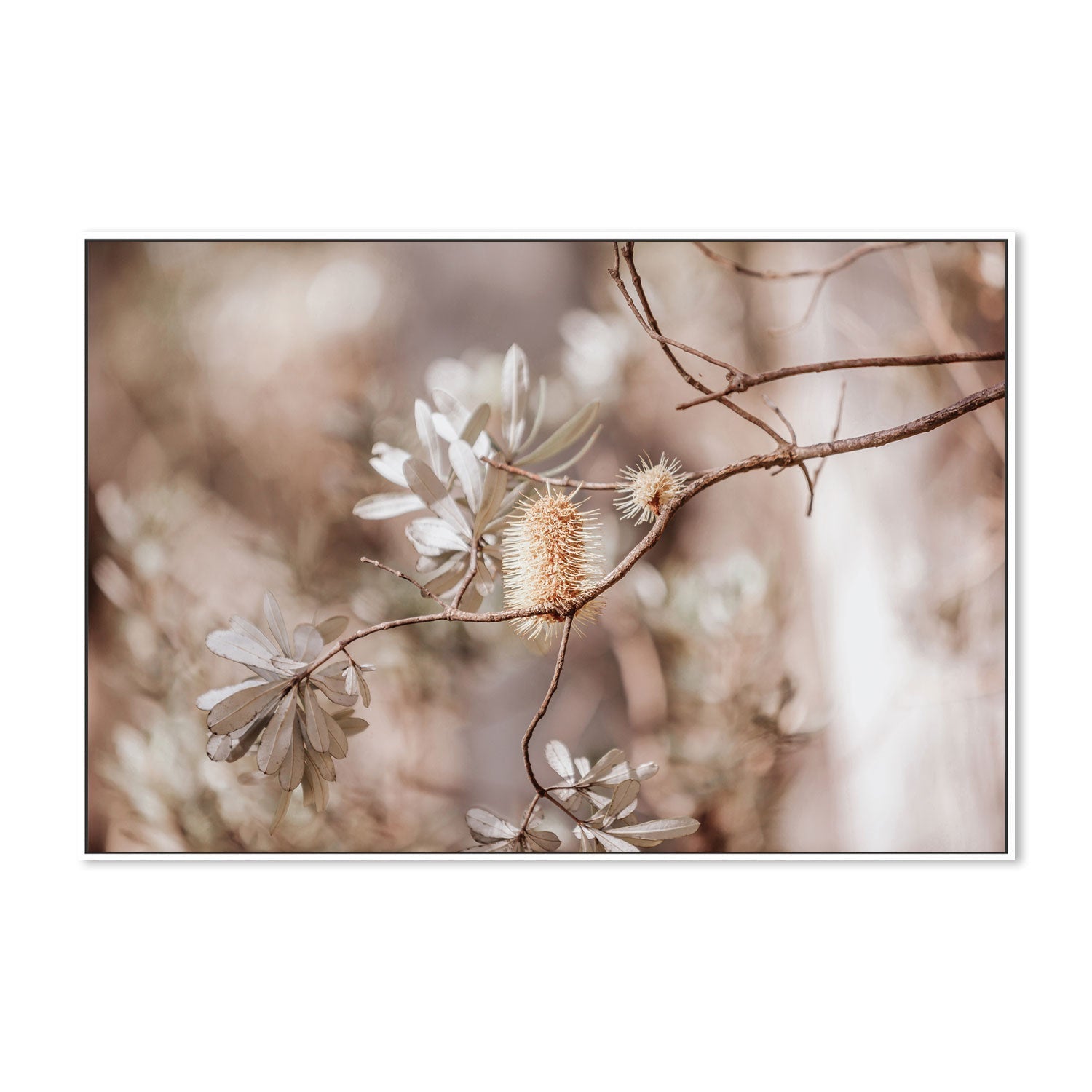 wall-art-print-canvas-poster-framed-Brown Bohemian Native Plants-GIOIA-WALL-ART