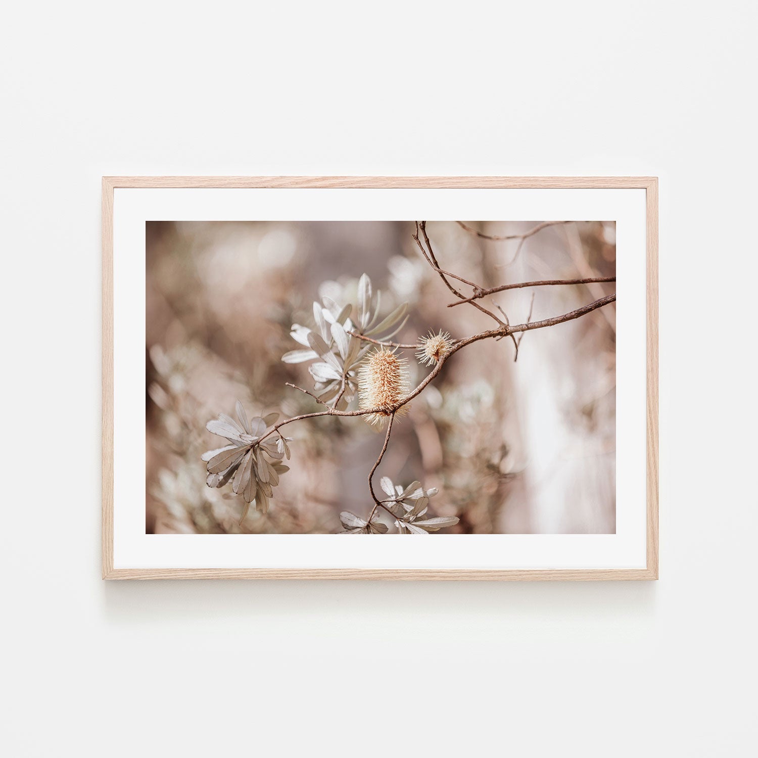 wall-art-print-canvas-poster-framed-Brown Bohemian Native Plants-GIOIA-WALL-ART