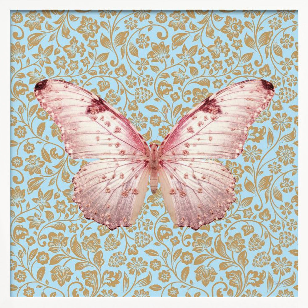 wall-art-print-canvas-poster-framed-Butterfly Pink , By Sue Skellern-5