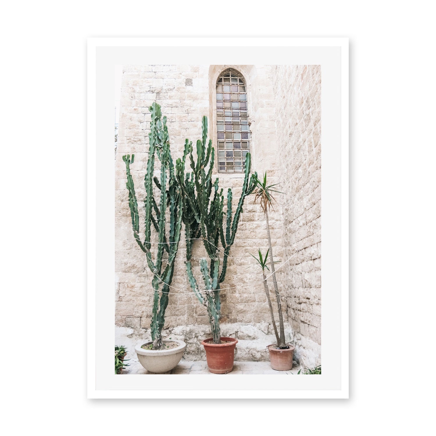 wall-art-print-canvas-poster-framed-Cacti of Puglia, Puglia, Italy , By Carla & Joel Photography-GIOIA-WALL-ART