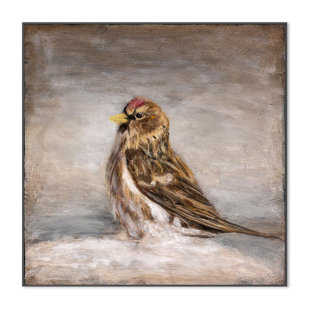 wall-art-print-canvas-poster-framed-Calm Winter Redpoll-3