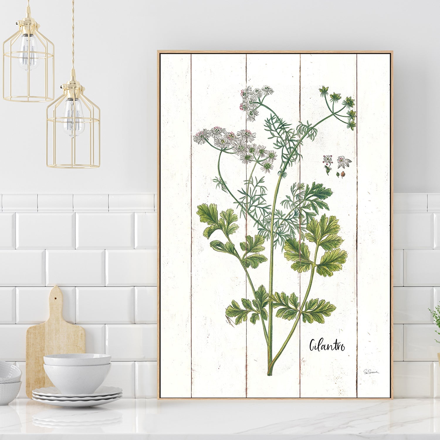 wall-art-print-canvas-poster-framed-Cilantro Cottage Herbs, Style B , By Sue Schlabach-2