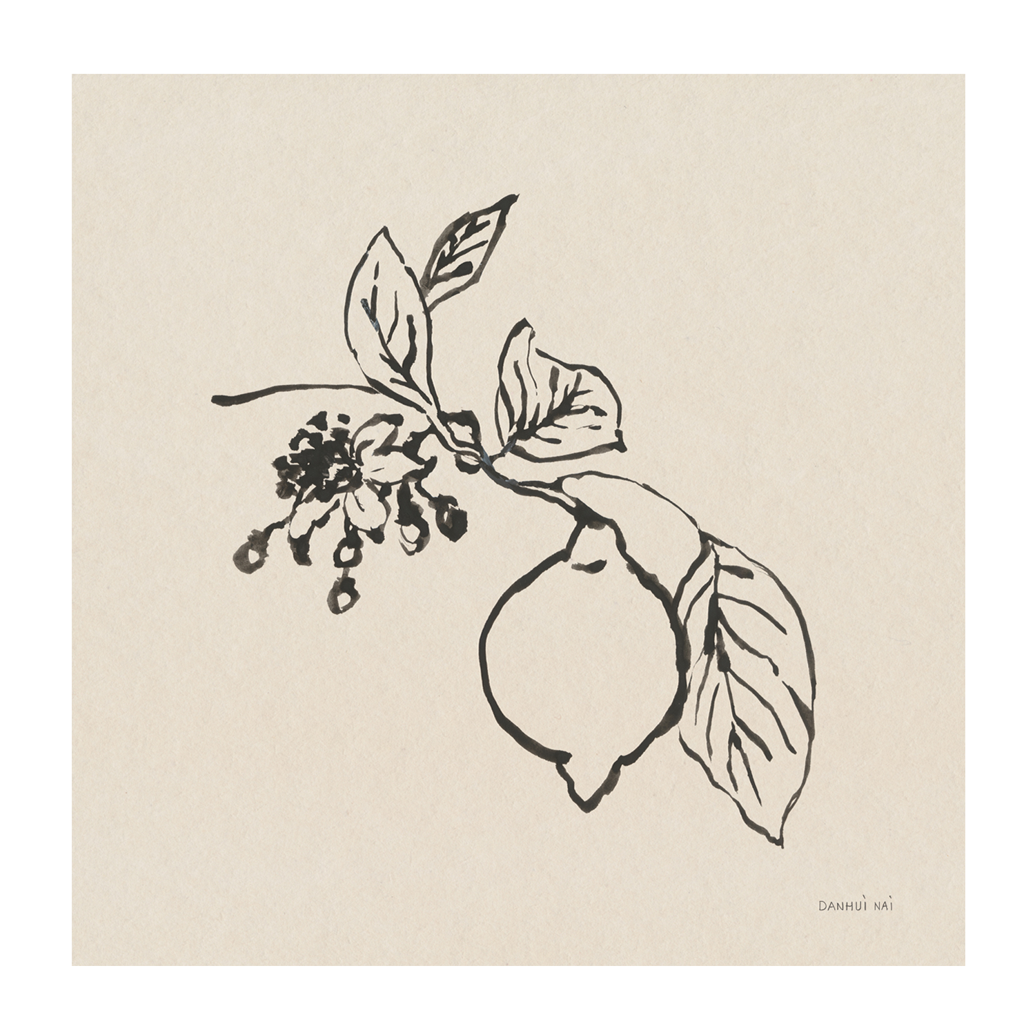 wall-art-print-canvas-poster-framed-Citrus Summer , By Danhui Nai-GIOIA-WALL-ART