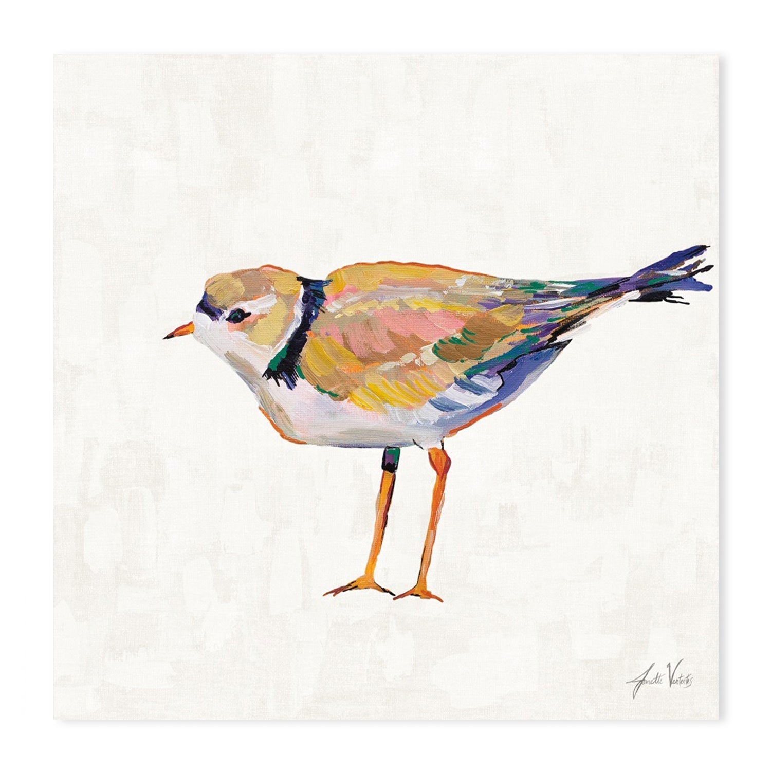 wall-art-print-canvas-poster-framed-Coastal Plover Linen, Set of 4-by-Jeanette Vertentes-Gioia Wall Art
