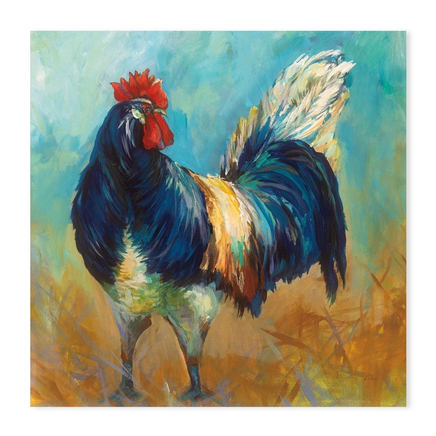 wall-art-print-canvas-poster-framed-Cocky-by-Jeanette Vertentes-Gioia Wall Art