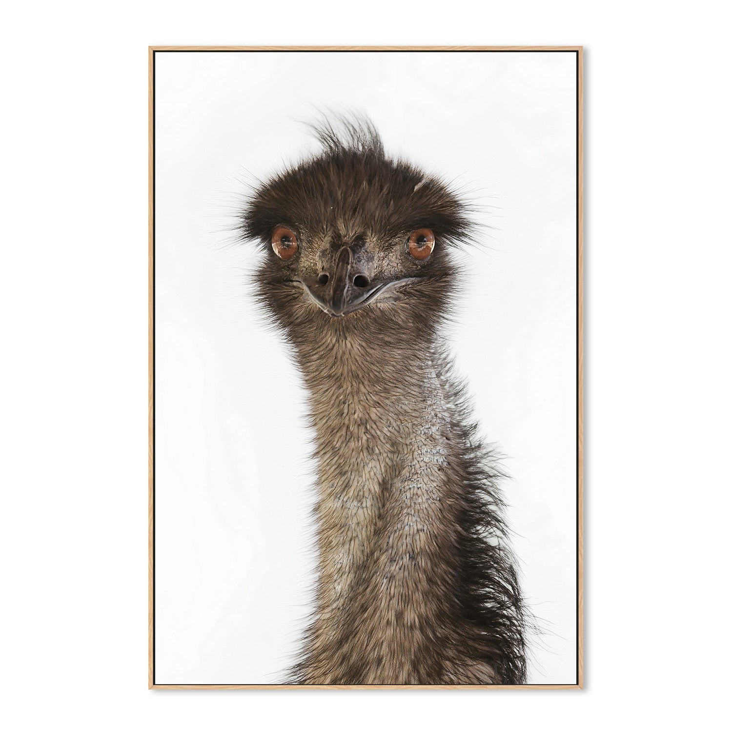 wall-art-print-canvas-poster-framed-Colin Emu , By Belinda Gerace-4
